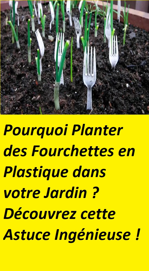 planter fourchette jardin