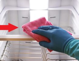 Comment nettoyer un réfrigérateur naturellement et efficacement