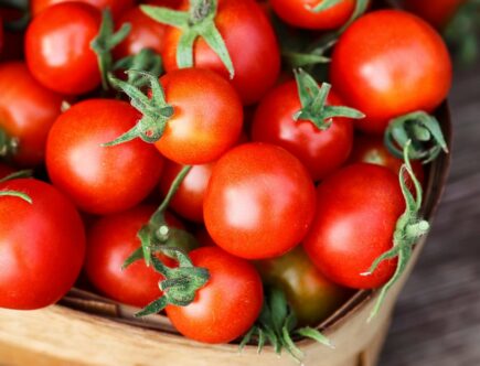 Planter des tomates : découvrez 7 conseils pratiques