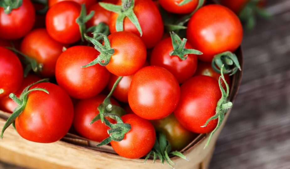 Planter des tomates : découvrez 7 conseils pratiques